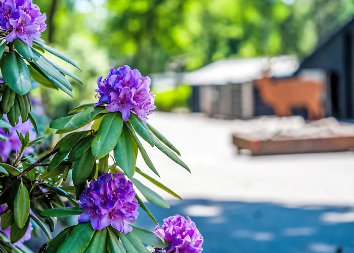 Veluwe By Interhome 霍德鲁