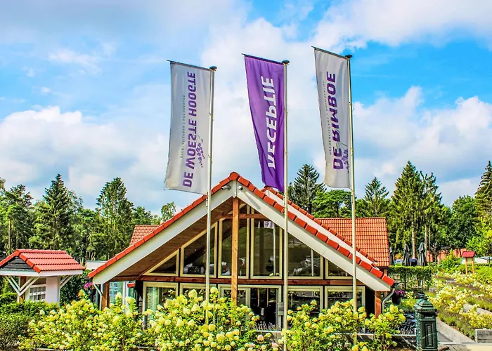 Veluwe By Interhome Dom wakacyjny Hoenderloo